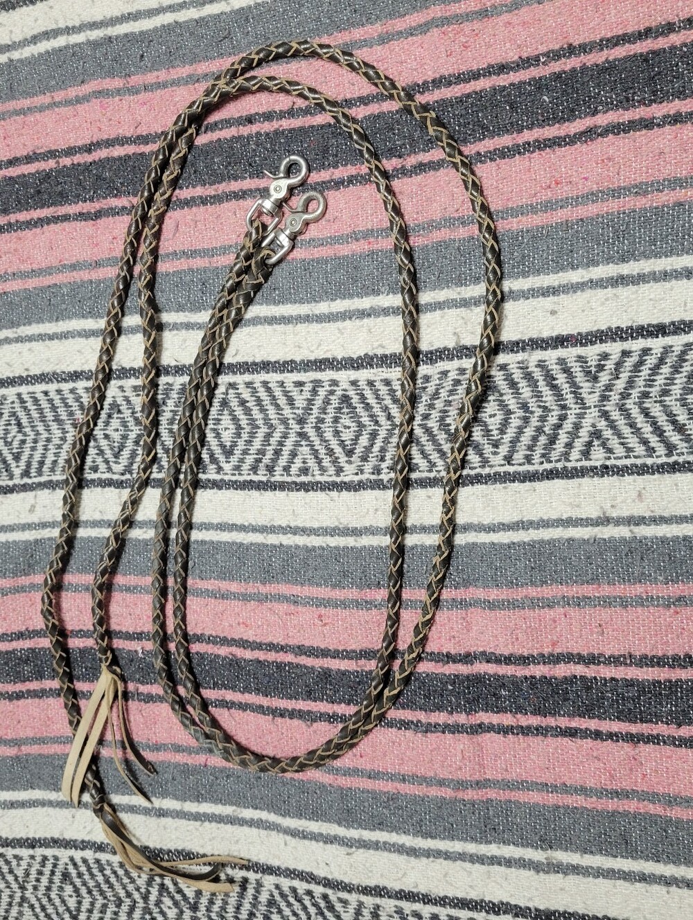 Reins